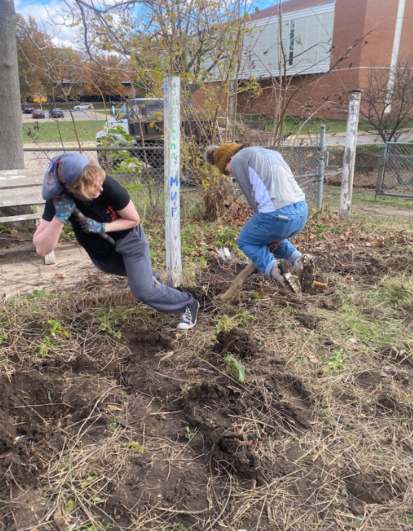 Environmental volunteering